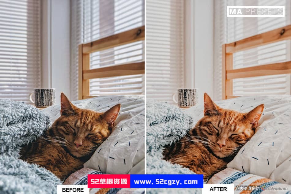 猫咪宠物摄影调色LR预设 CAT – Mobile & Desktop Lightroom Presets LR预设 第2张