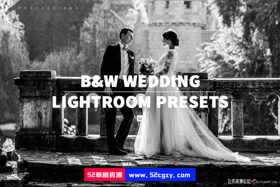 【Lightroom预设】经典黑白婚礼人像Black White Wedding Lightroo Presets LR预设 第1张