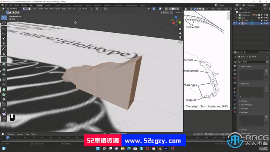 Blender 3.0+暴龙从建模到贴图完整实例制作视频教程 3D 第21张