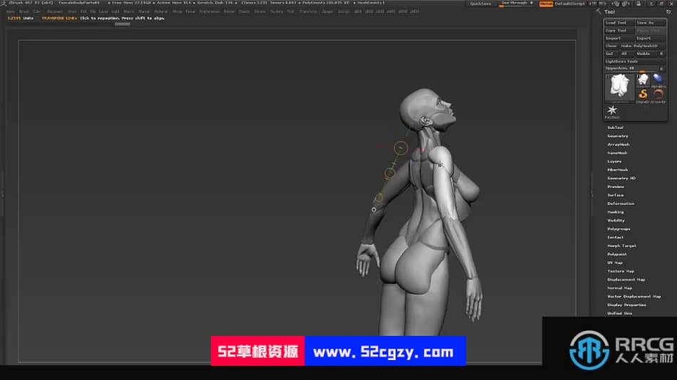 Zbrush女性模块化雕刻解剖学技术视频教程 ZBrush 第13张