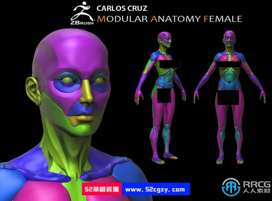 Zbrush女性模块化雕刻解剖学技术视频教程 ZBrush 第3张