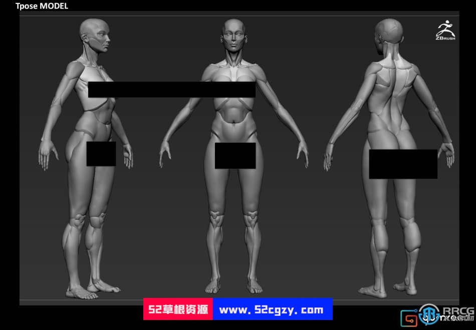 Zbrush女性模块化雕刻解剖学技术视频教程 ZBrush 第4张