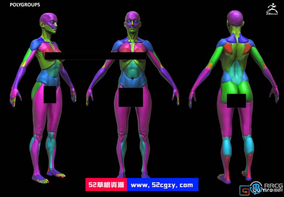 Zbrush女性模块化雕刻解剖学技术视频教程 ZBrush 第5张