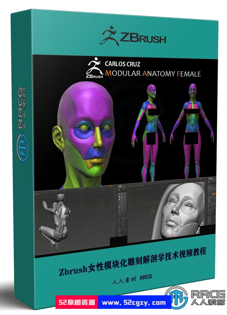 Zbrush女性模块化雕刻解剖学技术视频教程 ZBrush 第1张