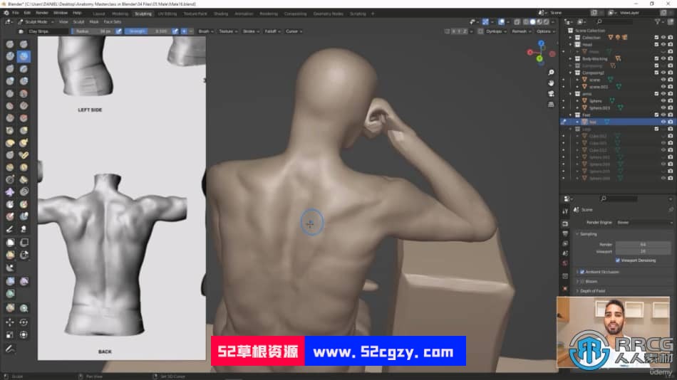 Blender男性人体解剖学雕塑大师级训练视频课程 3D 第7张