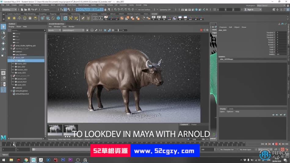 Zbrush与Maya野牛雕刻完整实例制作视频教程 ZBrush 第3张