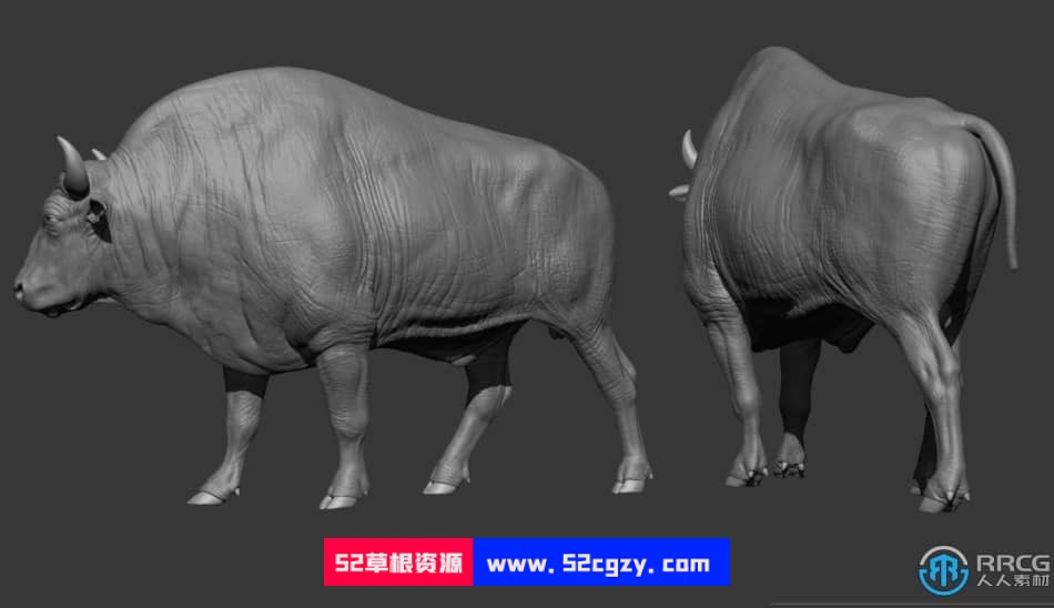 Zbrush与Maya野牛雕刻完整实例制作视频教程 ZBrush 第14张