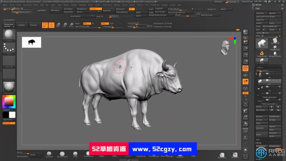 Zbrush与Maya野牛雕刻完整实例制作视频教程 ZBrush 第5张