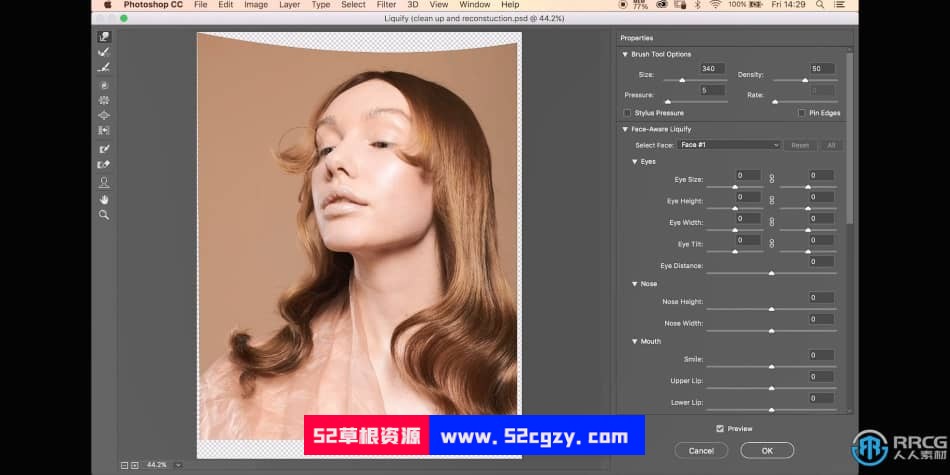 Photoshop肖像头发修饰技巧训练视频课程 PS教程 第6张