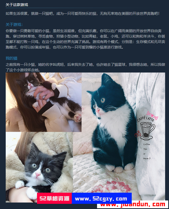 《猫模拟器》免安装v1.01中文绿色版[3.44GB] 单机游戏 第9张