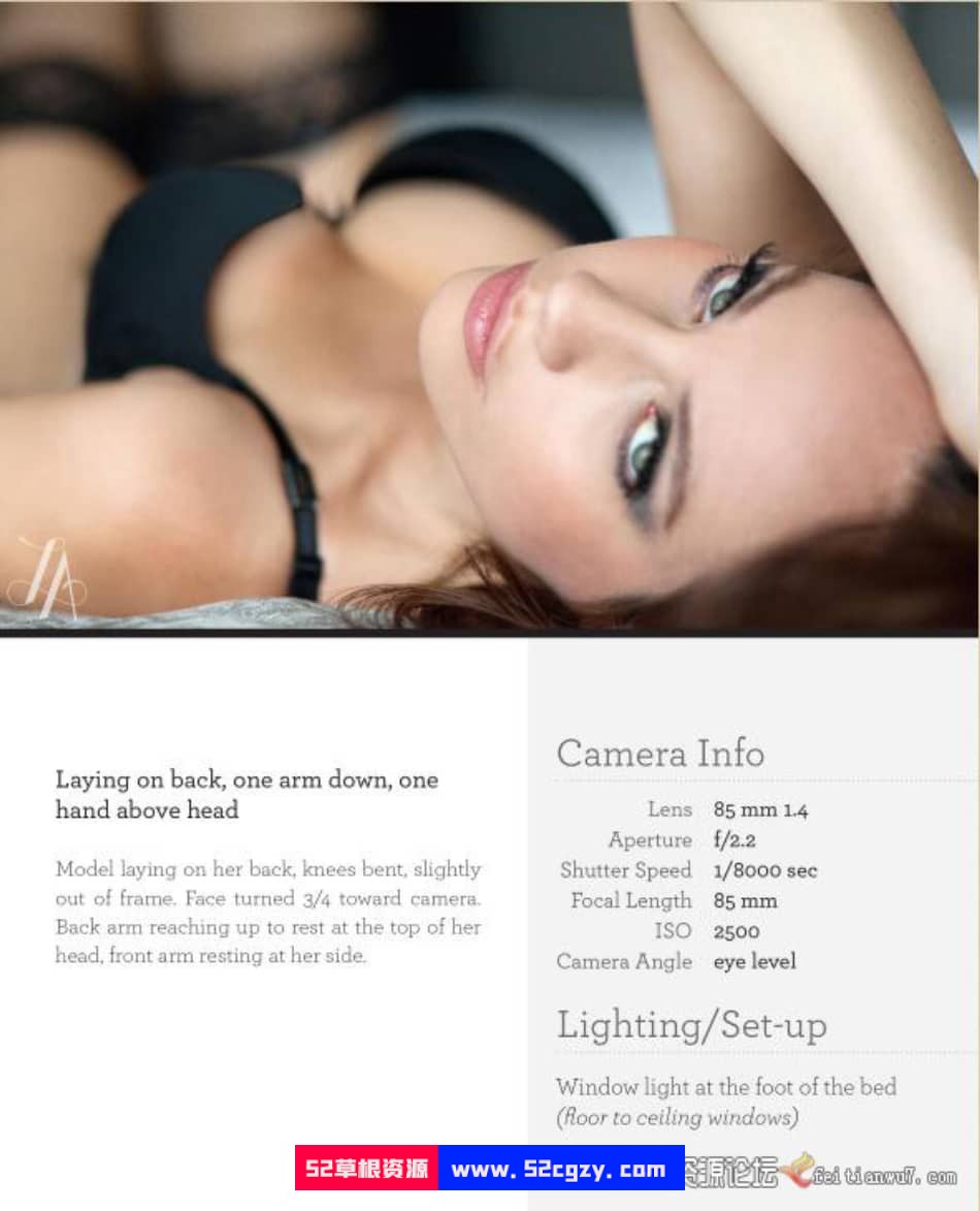 Lindsay Adler - 闺房私房人像摄影摆姿势指南-英文版PDF 摄影 第4张