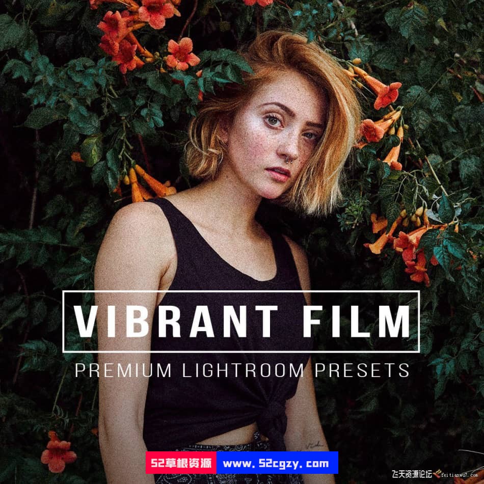 【Lightroom预设】充满活力的电影胶片VIBRANT FILM Lightroom Presets LR预设 第1张