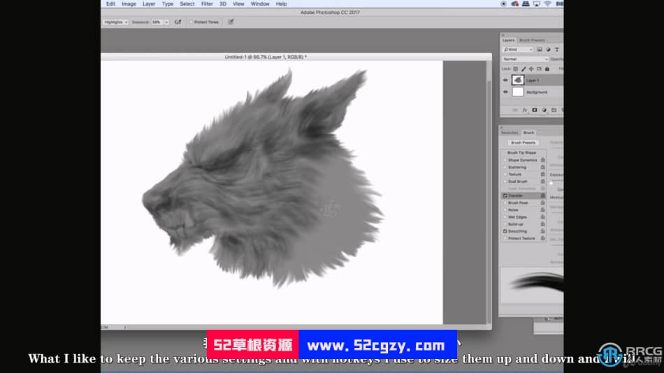 【中文字幕】PS生物动物毛发数字绘画实例训练视频教程 PS教程 第7张