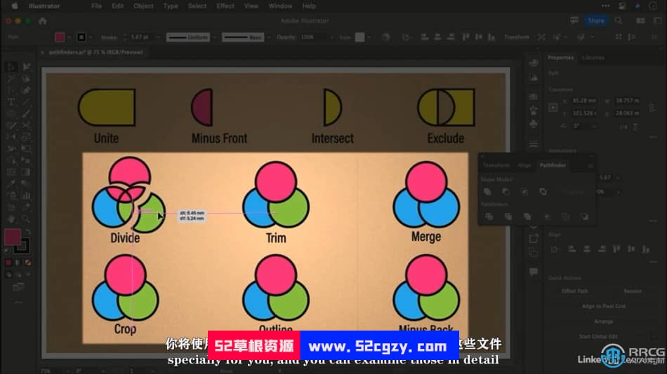 【中文字幕】Illustrator CC 2023全面核心技术训练视频教程 AI 第3张