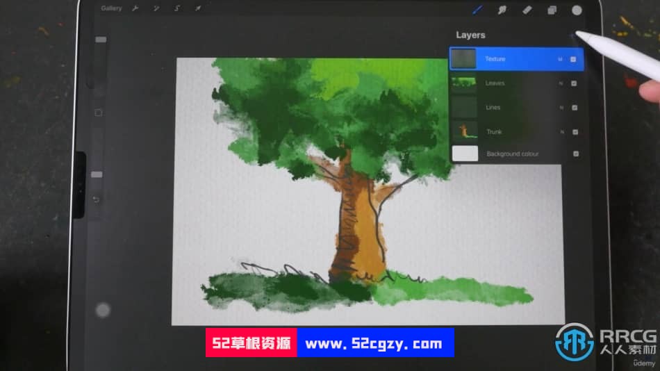 【中文字幕】Procreate专业漫画素描数字绘画技术视频教程 CG 第4张
