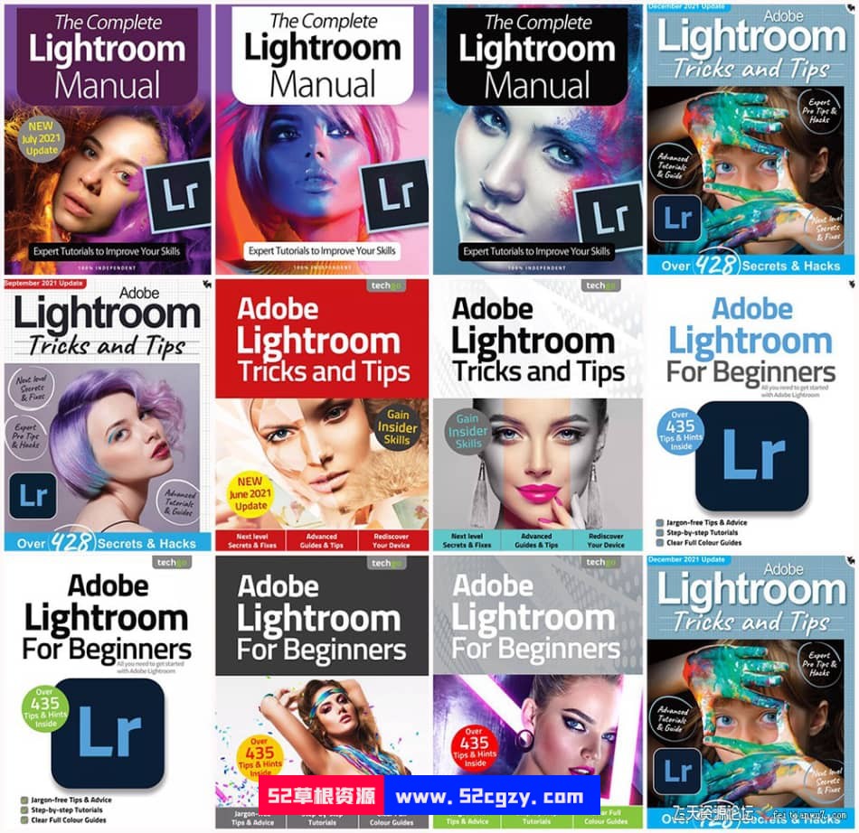 Lightroom完整手册,技巧和窍门,适合初学者1-11期-2021 年全年系列 LR 第1张
