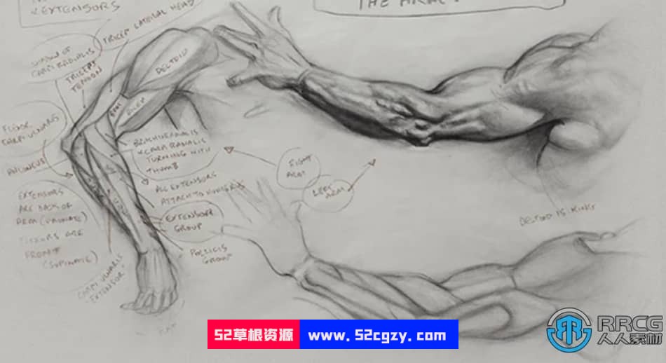 Patrick人物角色解剖学传统绘画大师级视频教程 CG 第16张