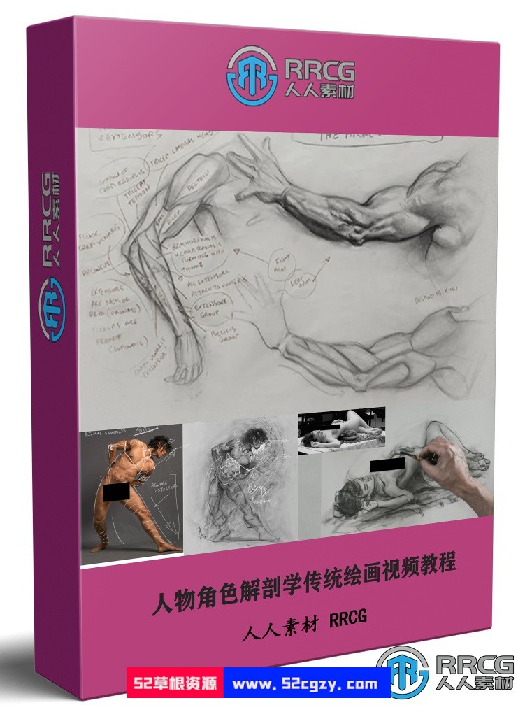 Patrick人物角色解剖学传统绘画大师级视频教程 CG 第1张