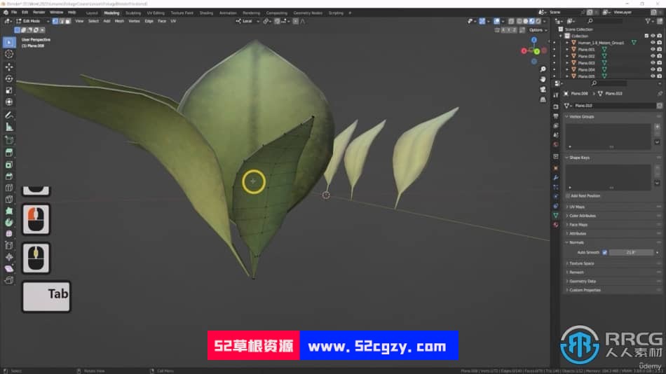 Blender与UE5制作3D植物和植被大师级视频教程 3D 第3张