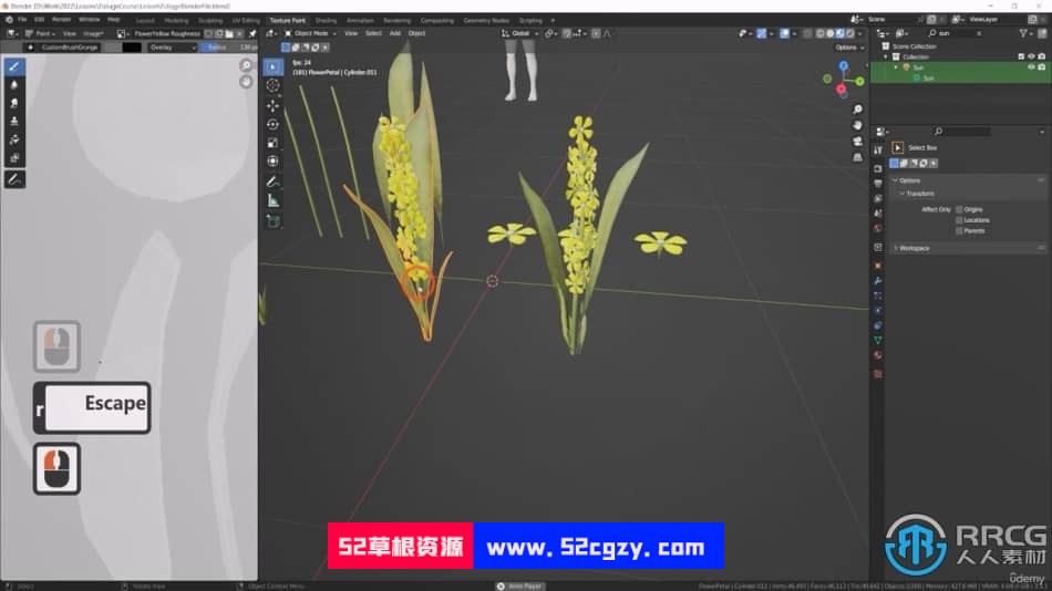 Blender与UE5制作3D植物和植被大师级视频教程 3D 第20张