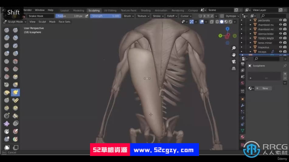 Blender人像雕塑肌肉雕刻3D解剖学大师级视频教程 3D 第10张