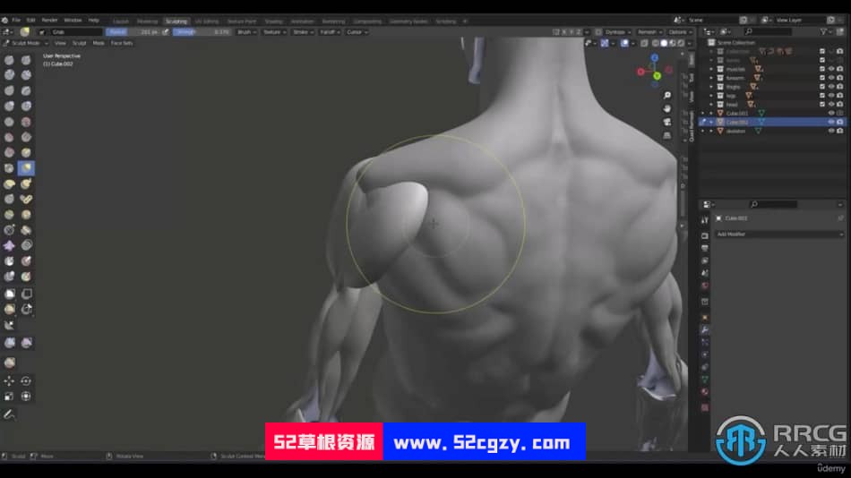 Blender人像雕塑肌肉雕刻3D解剖学大师级视频教程 3D 第6张