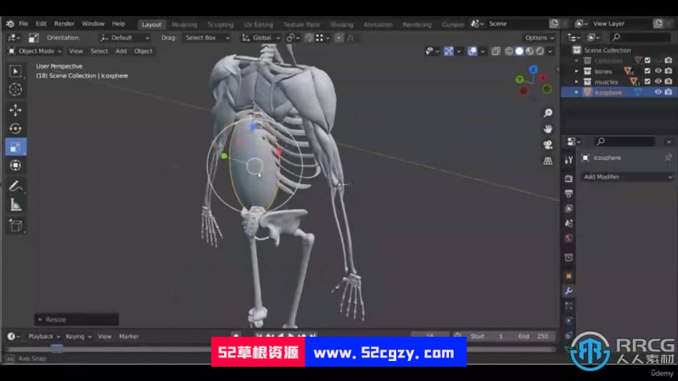 Blender人像雕塑肌肉雕刻3D解剖学大师级视频教程 3D 第11张