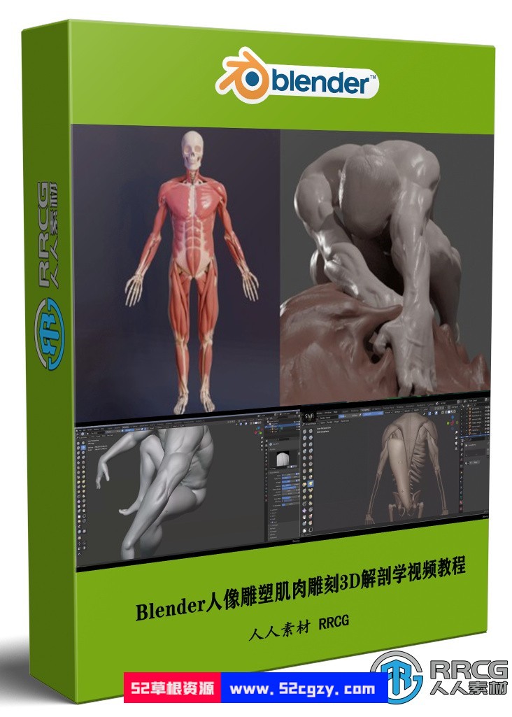 Blender人像雕塑肌肉雕刻3D解剖学大师级视频教程 3D 第1张