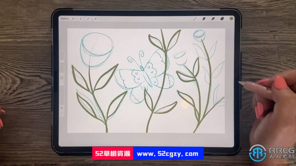 Procreate混合模式着色技术绘画植物蝴蝶视频教程 CG 第3张