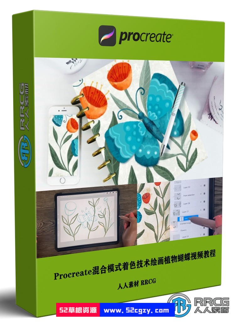 Procreate混合模式着色技术绘画植物蝴蝶视频教程 CG 第1张