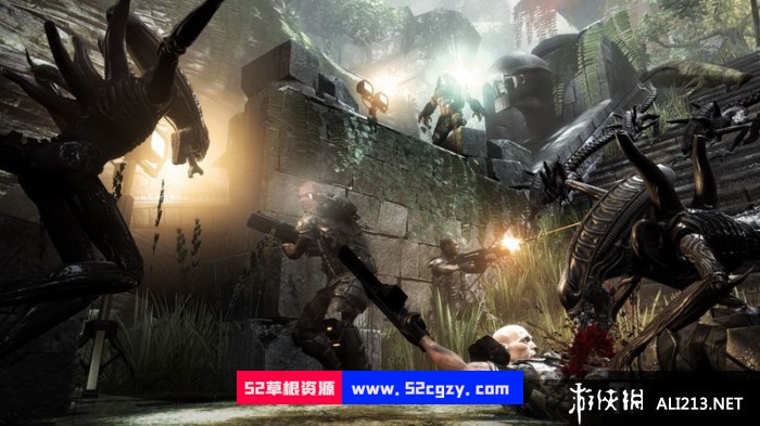 《异形大战铁血战士》免安装绿色中文版[13.8 GB] 单机游戏 第12张