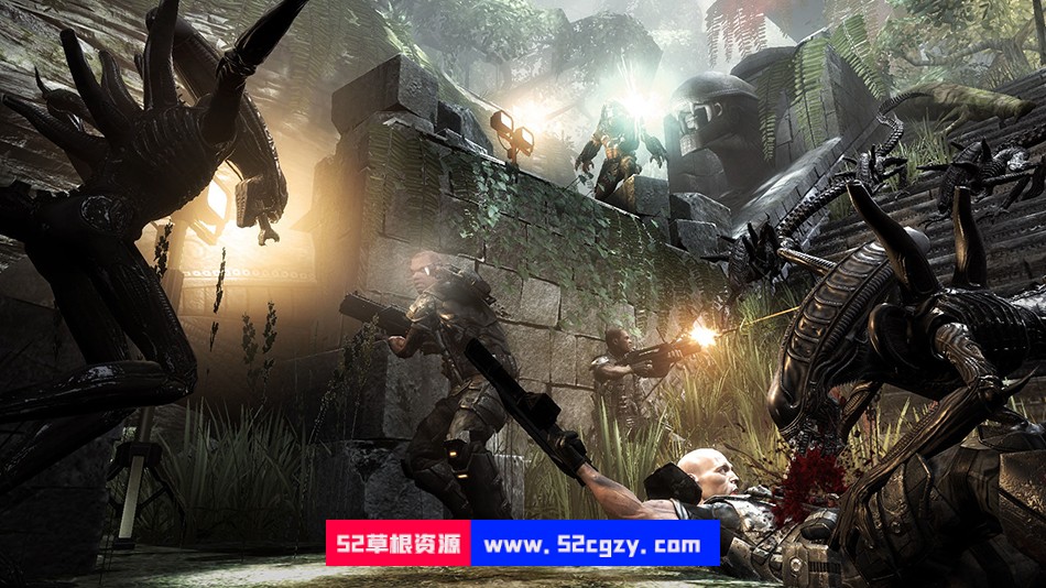 《异形大战铁血战士》免安装绿色中文版[13.8 GB] 单机游戏 第7张