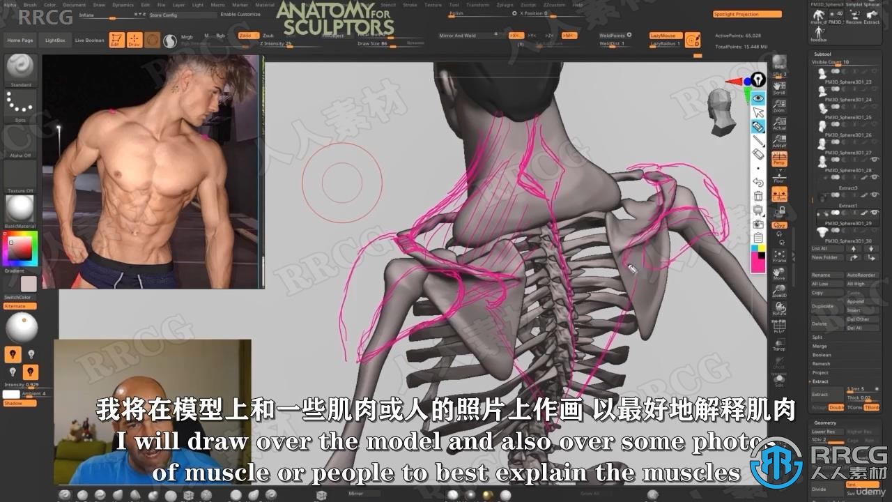 【中文字幕】ZBrush超级英雄人体解剖学训练视频教程 ZBrush 第6张