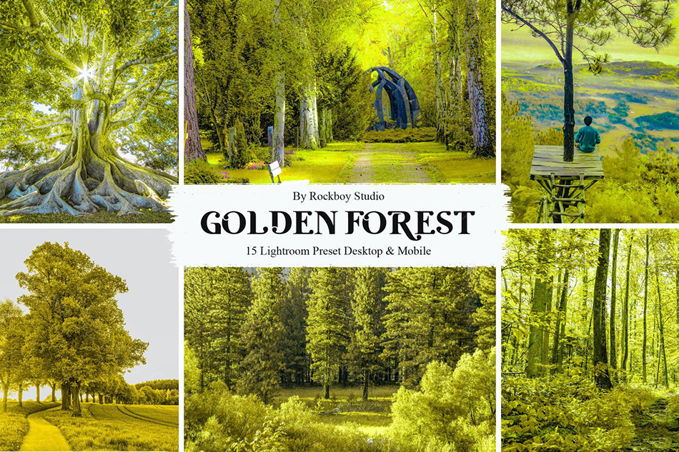 【Lightroom预设】风光自然场景金色森林15 Golden Forest Lightroom Presets LR预设 第1张