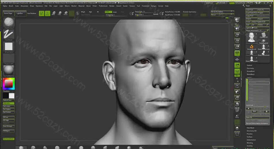 【中英字幕】Zbrush教程-超精细角色面部雕刻大师级视频 3D 第9张