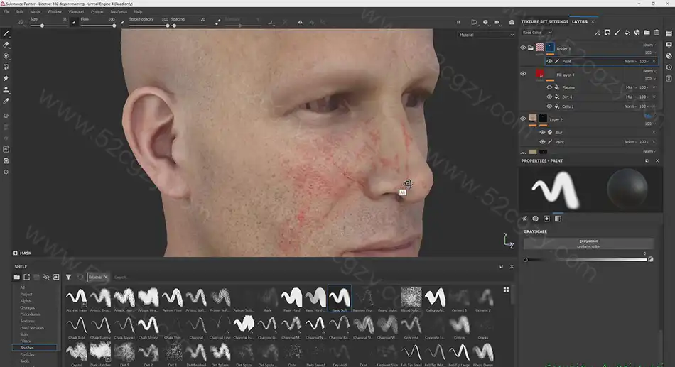 【中英字幕】Zbrush教程-超精细角色面部雕刻大师级视频 3D 第12张