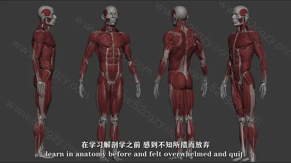 【中英字幕】Zbrush男性动作解剖学雕刻大师级完整训练视频教程 3D 第2张