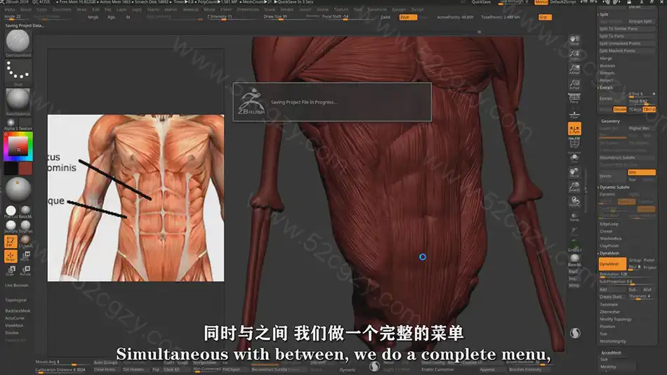 【中英字幕】Zbrush男性动作解剖学雕刻大师级完整训练视频教程 3D 第4张