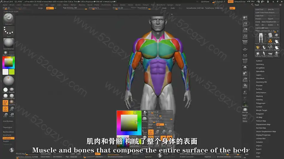 【中英字幕】Zbrush男性动作解剖学雕刻大师级完整训练视频教程 3D 第5张