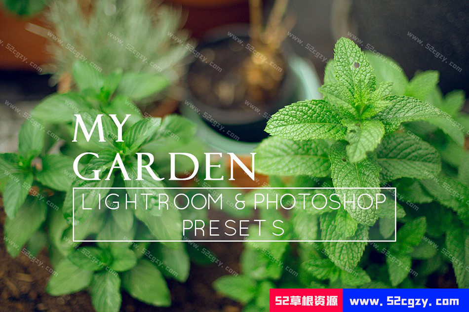 【Lightroom预设】9个自然花卉摄影后期调色9 Nature Lightroom Presets LR预设 第1张