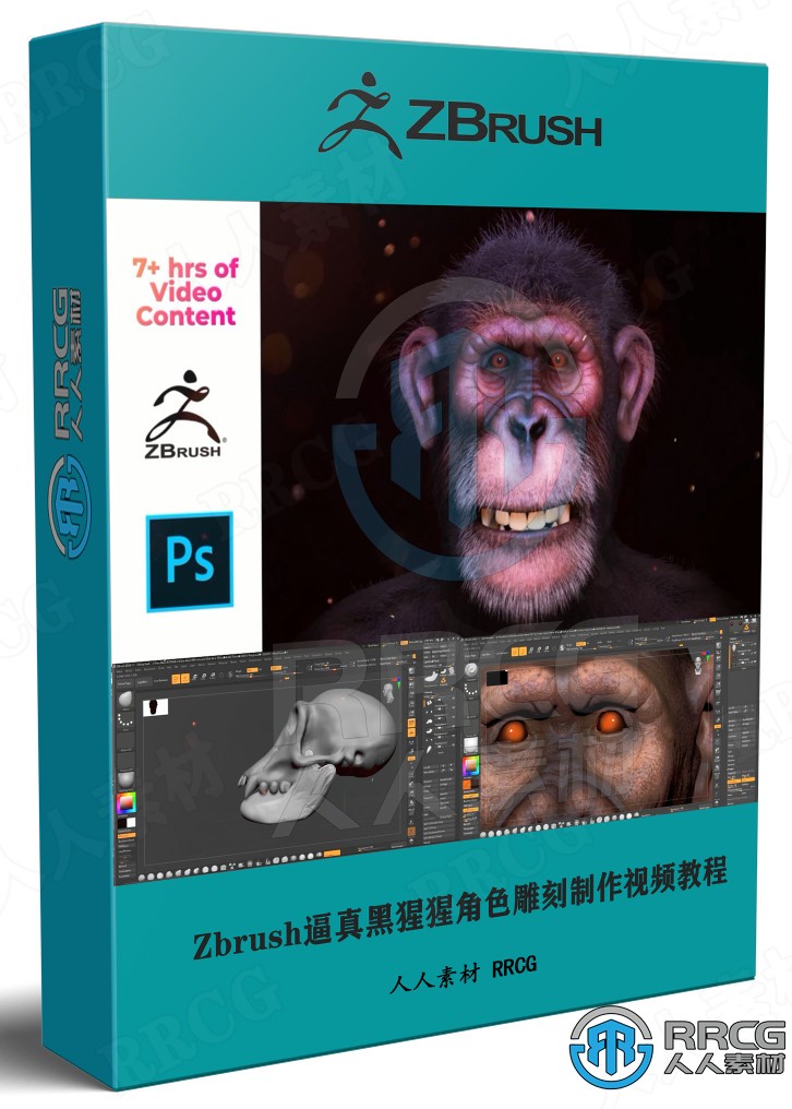Zbrush逼真黑猩猩角色雕刻制作全流程视频教程 3D 第1张