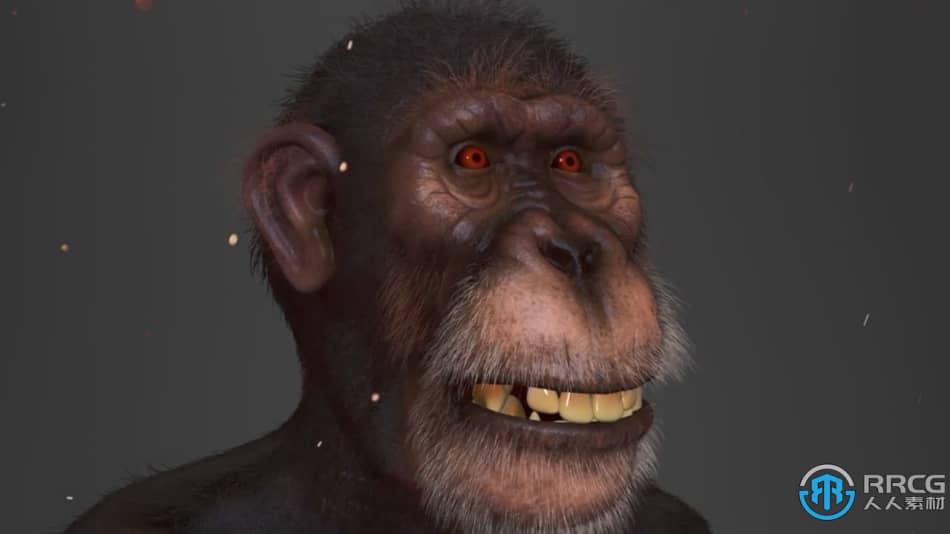 Zbrush逼真黑猩猩角色雕刻制作全流程视频教程 3D 第2张