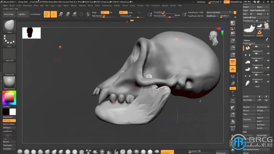 Zbrush逼真黑猩猩角色雕刻制作全流程视频教程 3D 第3张