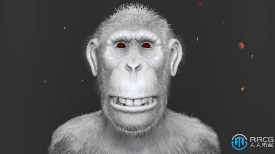 Zbrush逼真黑猩猩角色雕刻制作全流程视频教程 3D 第5张