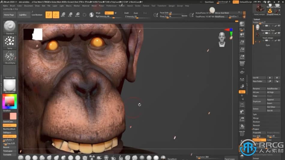 Zbrush逼真黑猩猩角色雕刻制作全流程视频教程 3D 第6张