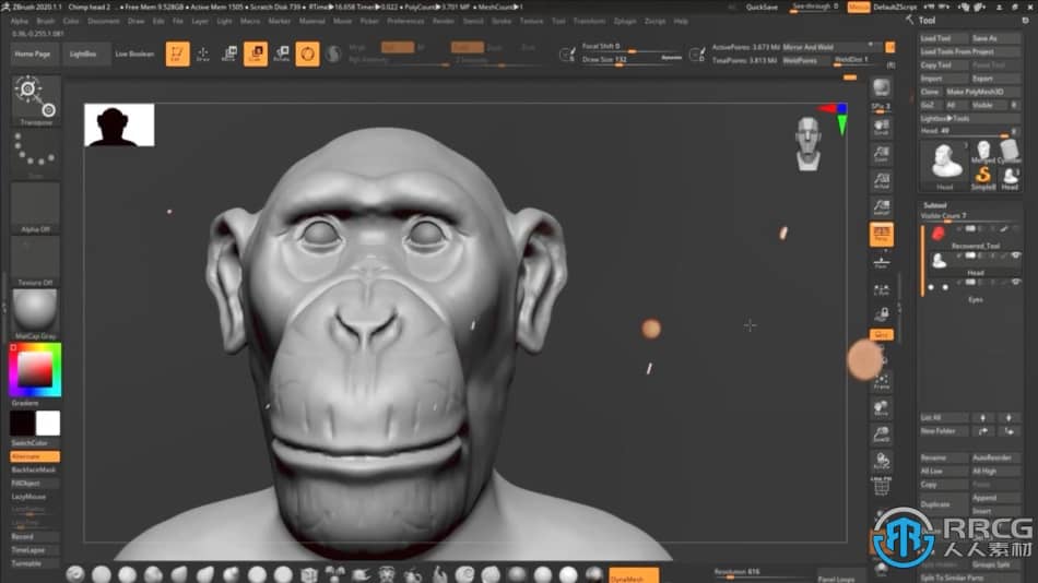 Zbrush逼真黑猩猩角色雕刻制作全流程视频教程 3D 第7张