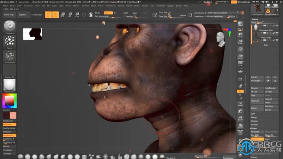 Zbrush逼真黑猩猩角色雕刻制作全流程视频教程 3D 第12张