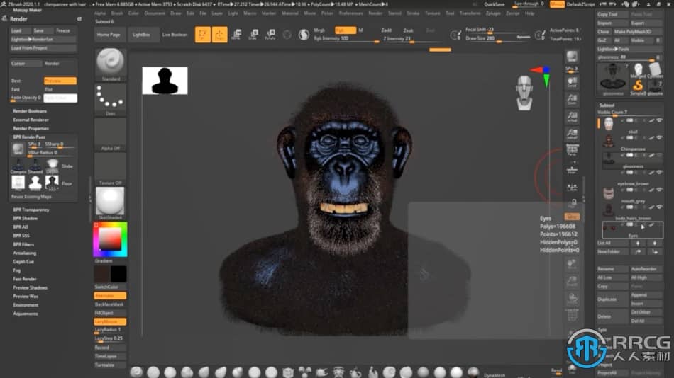 Zbrush逼真黑猩猩角色雕刻制作全流程视频教程 3D 第13张