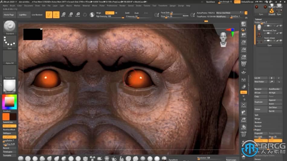 Zbrush逼真黑猩猩角色雕刻制作全流程视频教程 3D 第14张