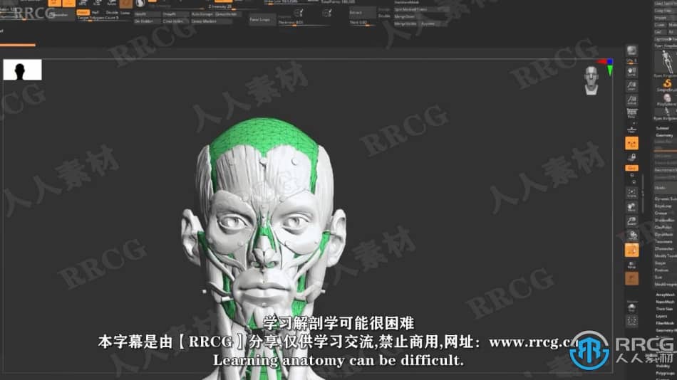 【中文字幕】Zbrush脸部面部雕刻建模全面训练视频教程 3D 第2张